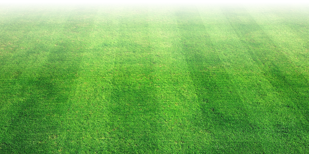 grass_field